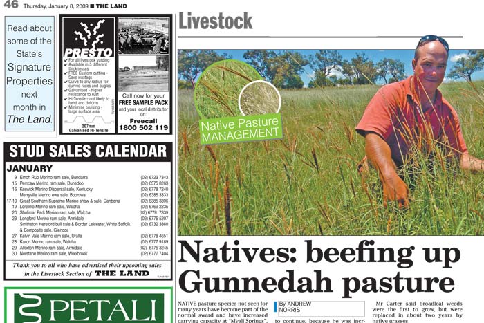 Natives: beefing up Gunnedah pasture article